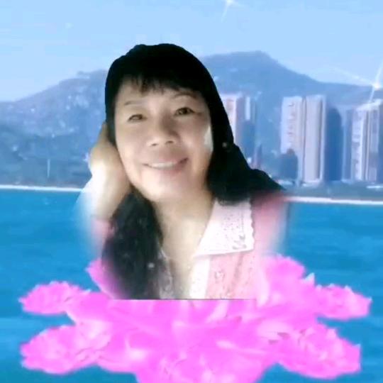 丽珍(橱窗有好物)