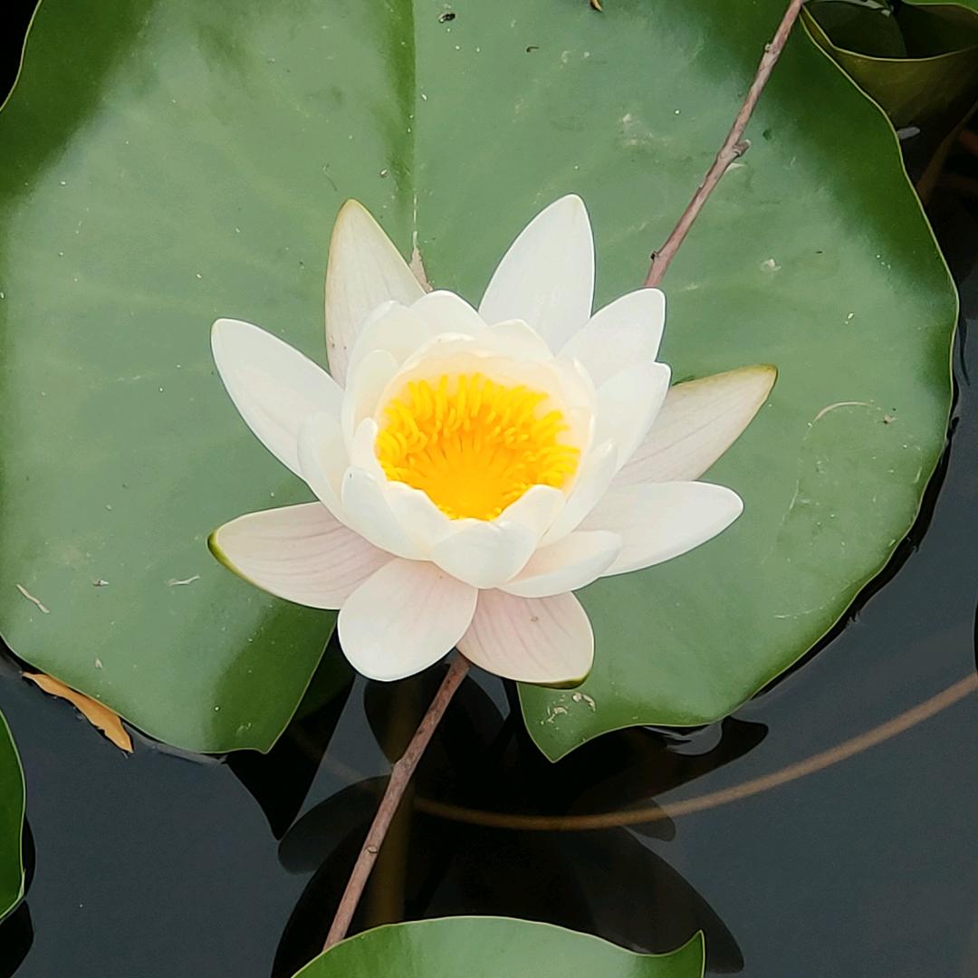 睢宁县宇轩绣花