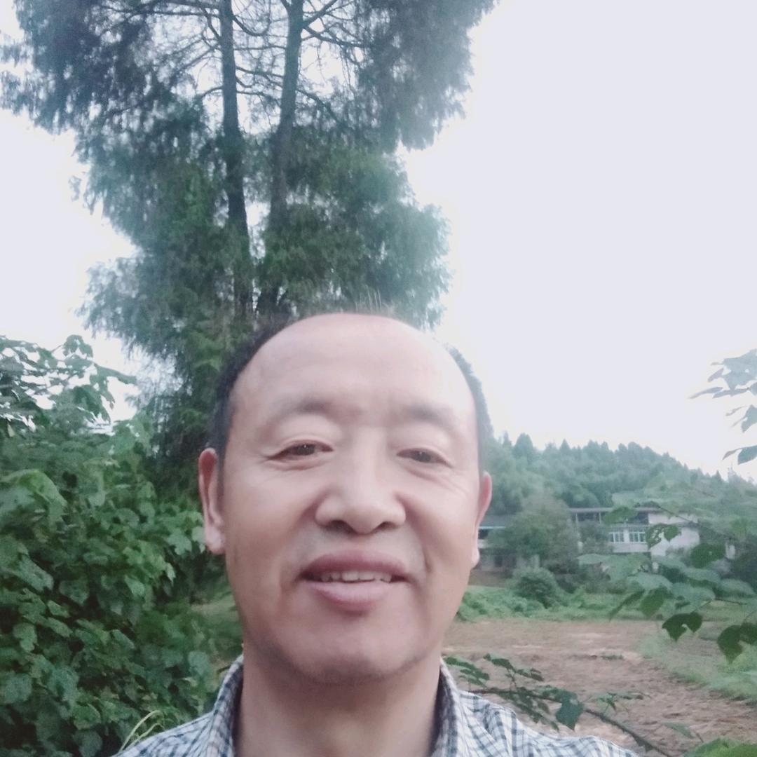 装饰精美