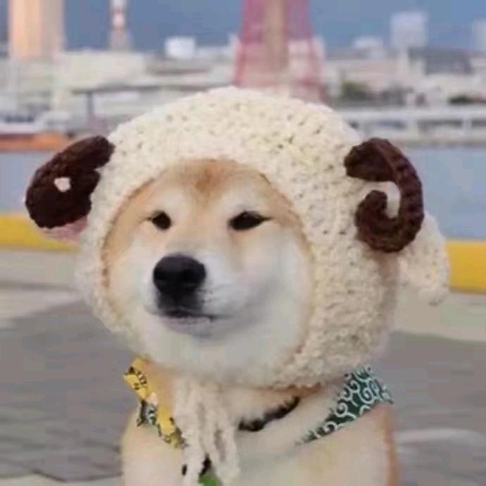 追剧粒粒酱