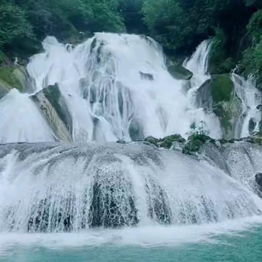 天高任鸟飞……