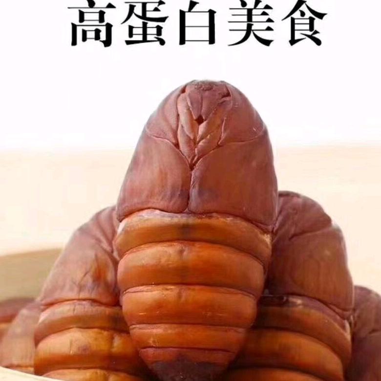 顺溜蚕蛹