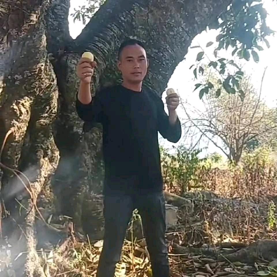 猛龙过江MkH