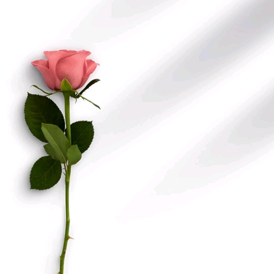 南倾