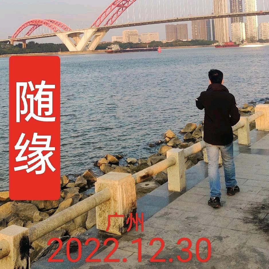 随缘影视