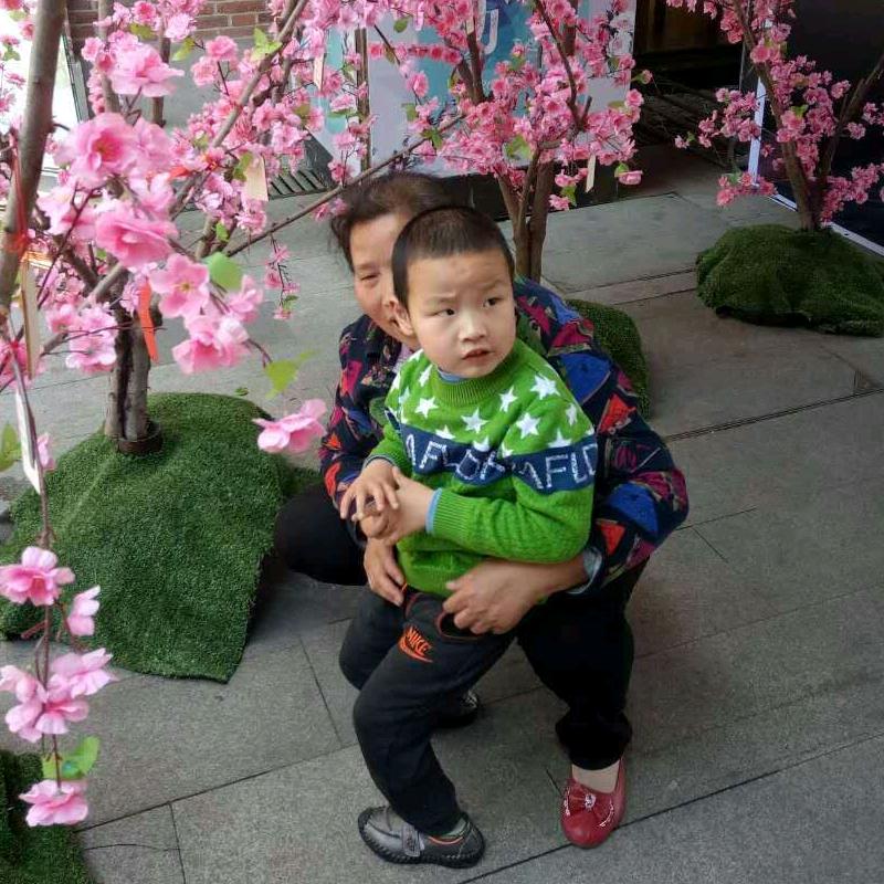 刘记粽子