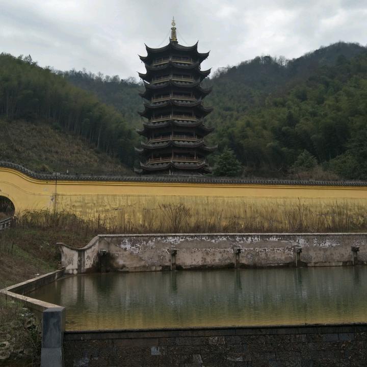 才子。