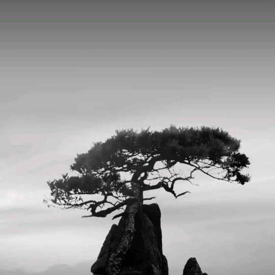 辉哥