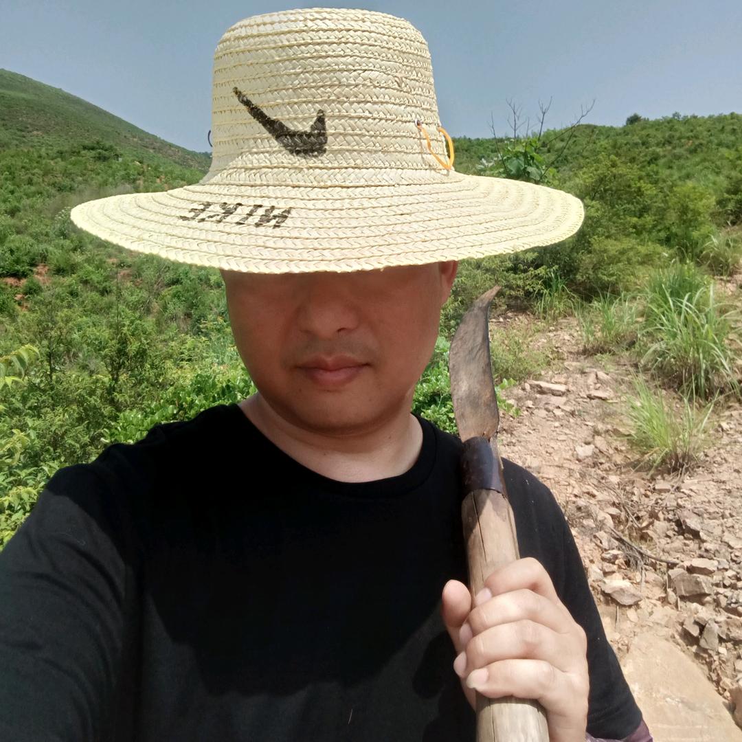 痞子曾
