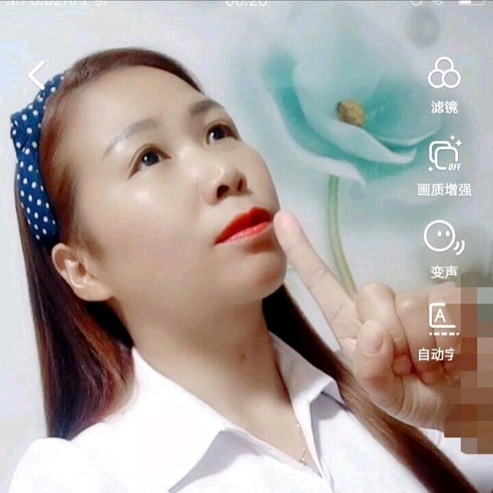 酒醉的蝴蝶(手机投影)