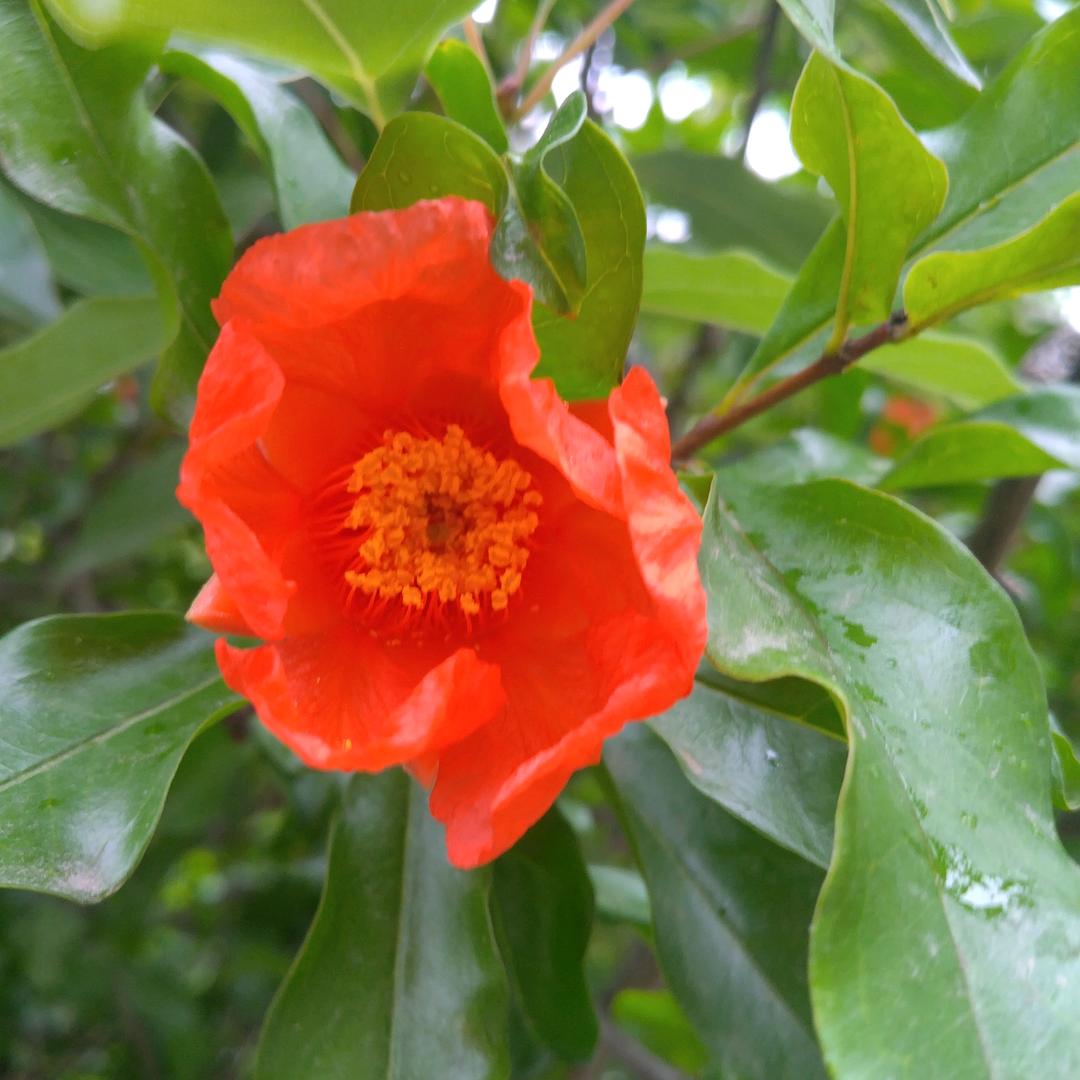 春暖花开