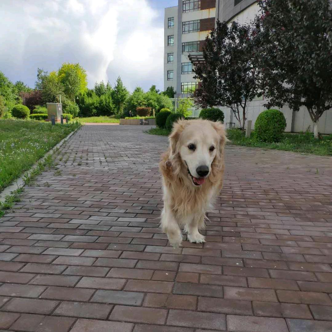 方圆百里不留活口