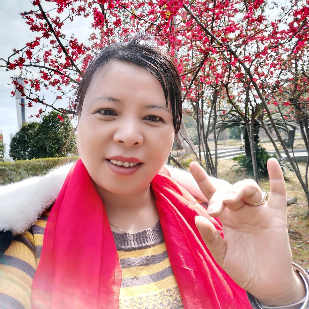夏莲
