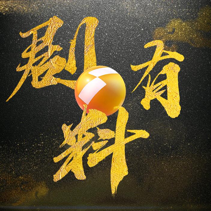 陕西卫视剧有料