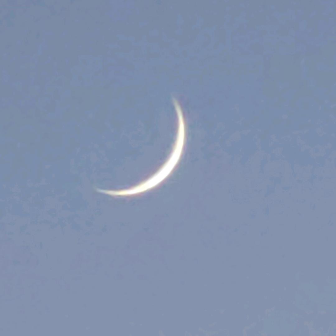 若木（为oner啄米版）