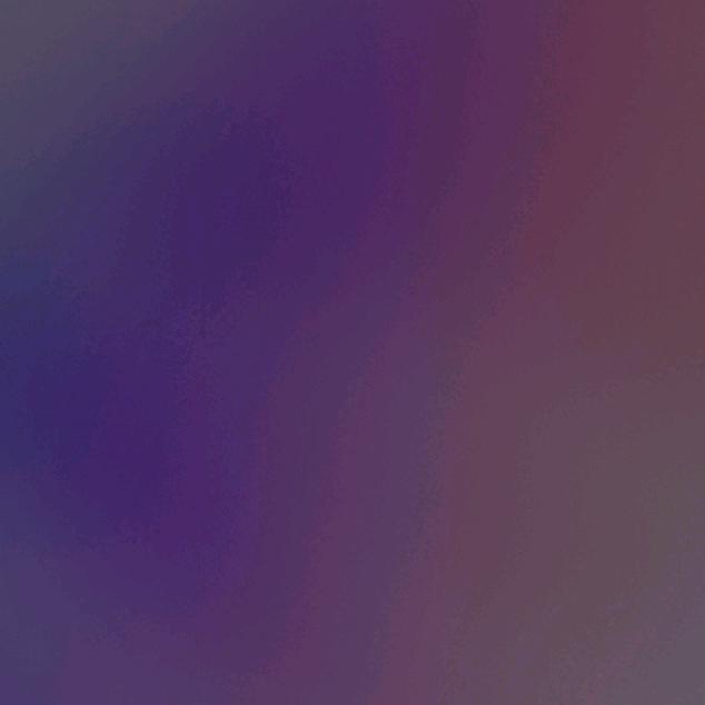 黄黄先生