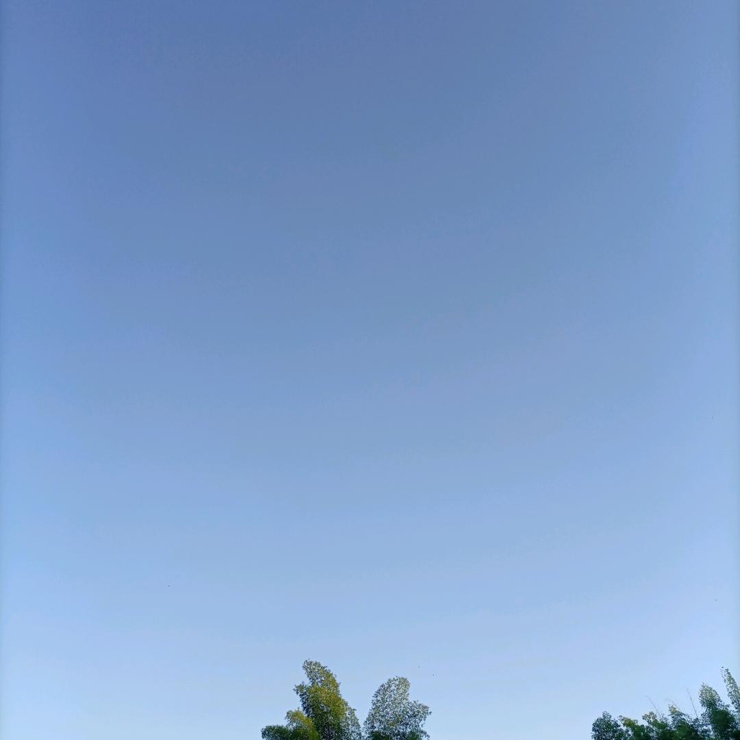静心如止水