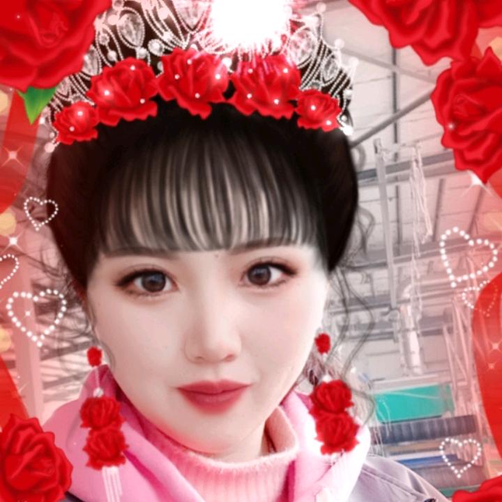 红玫瑰