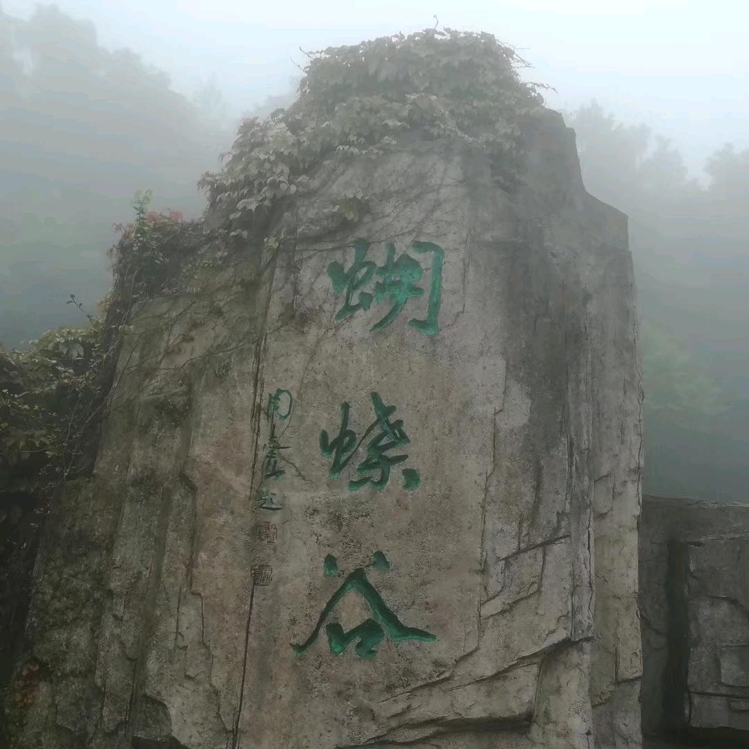 秋天的雨