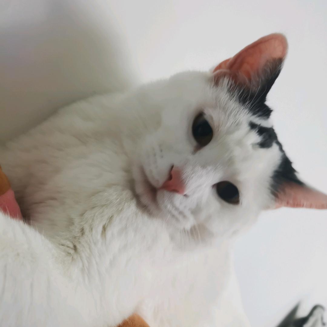 手机用户69116431000