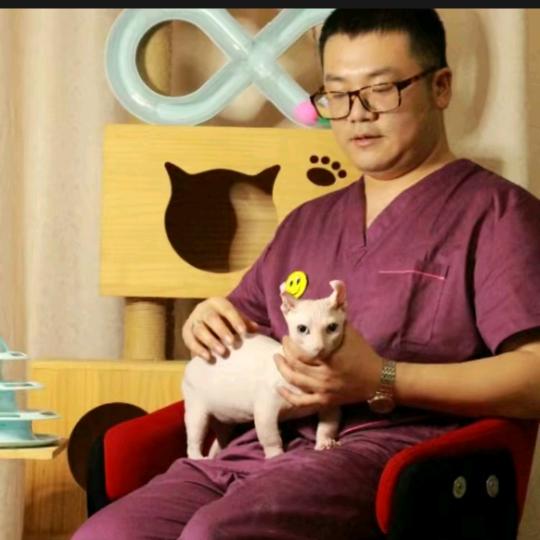 猫叔宠物