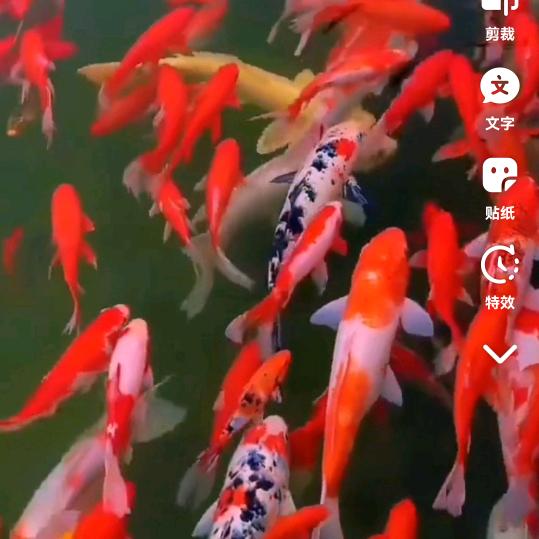 顺其自然