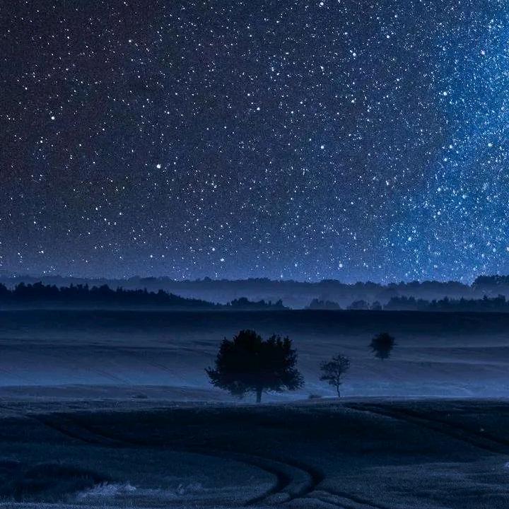 李爷爷(已有家庭)