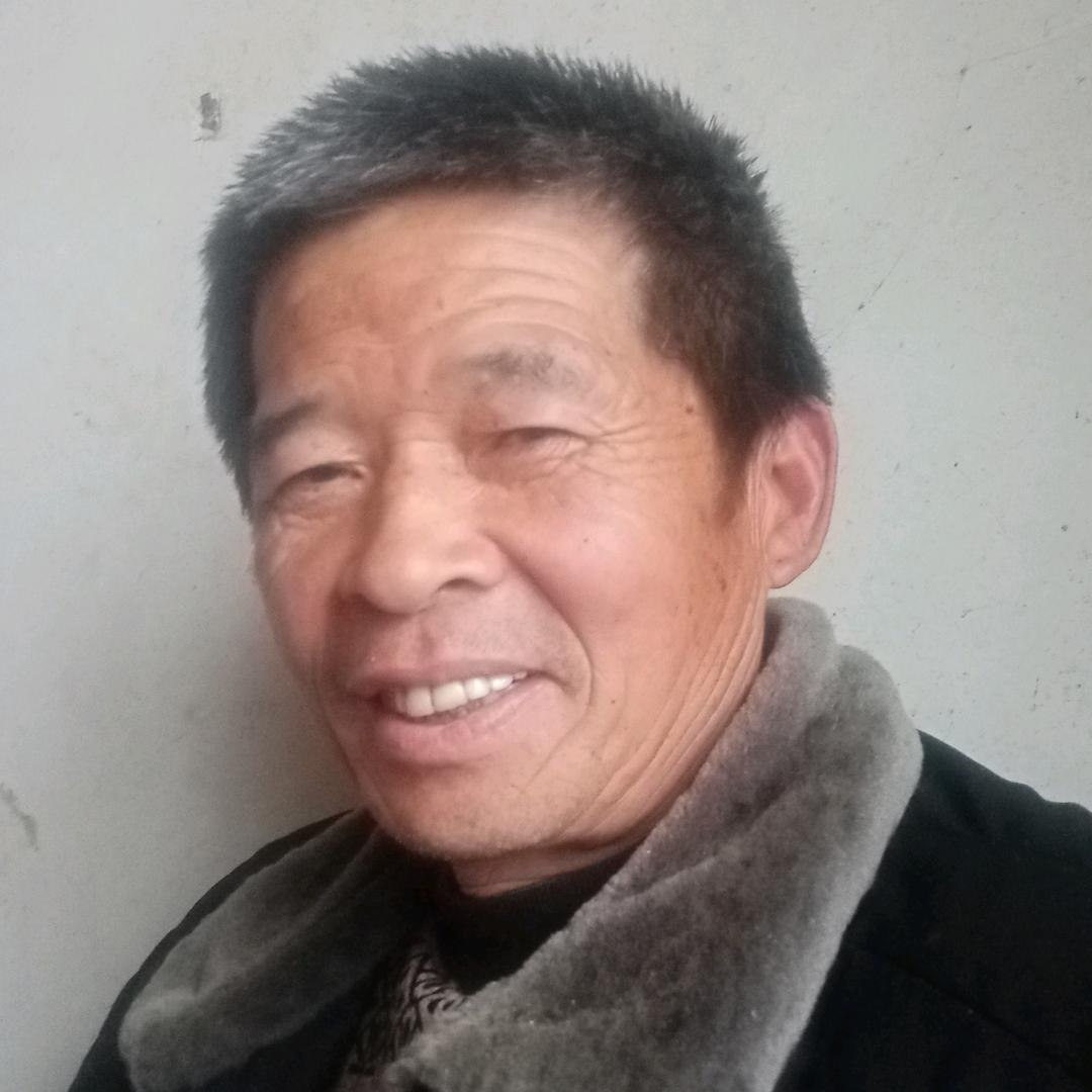 席本军信阳毛尖