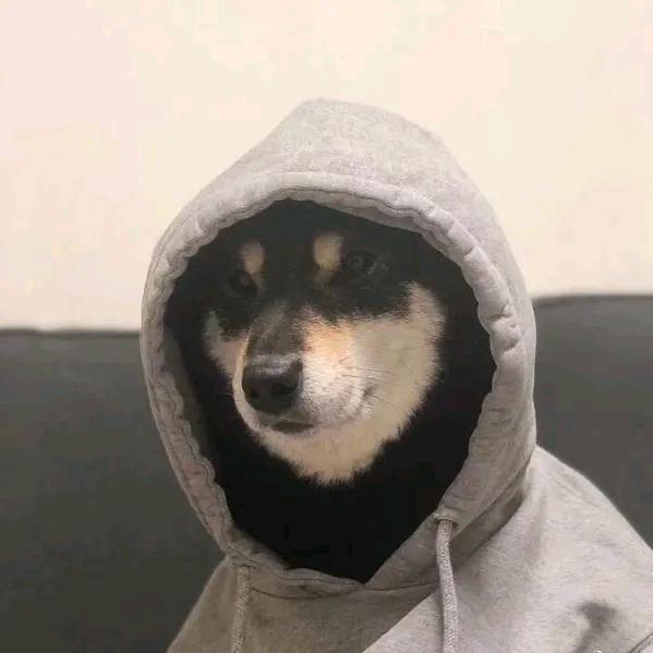 狗狗仙贝