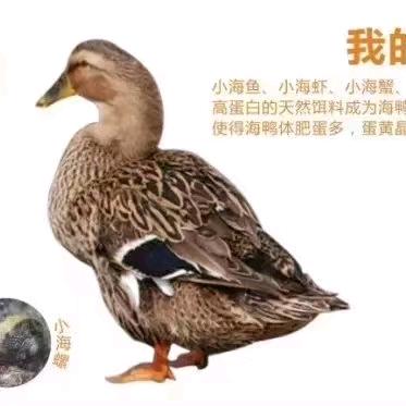 元腾海产干货超市