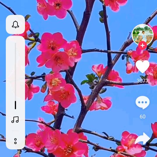 陈陈