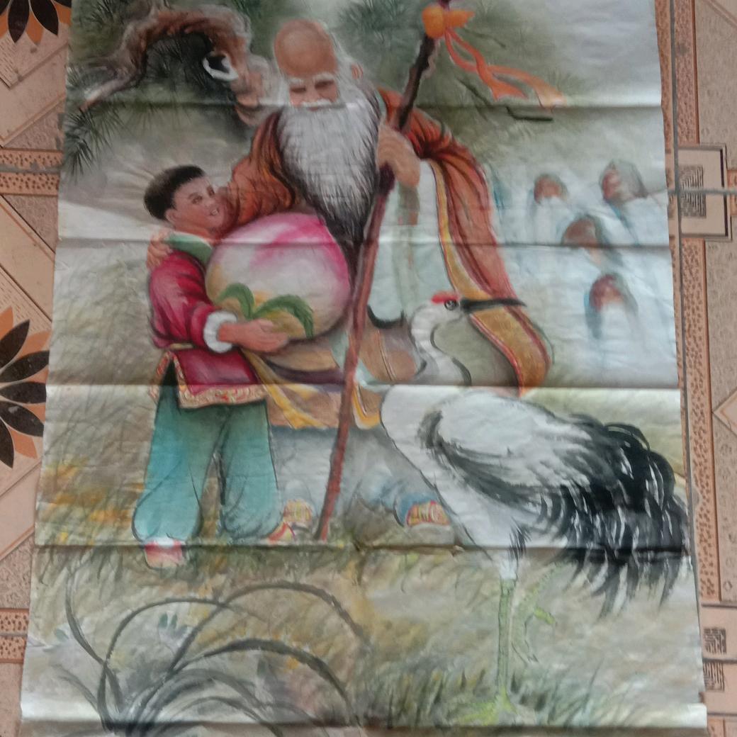 出售优质金蝉幼苗