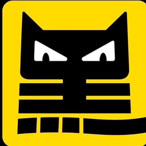 景德镇黑猫集团