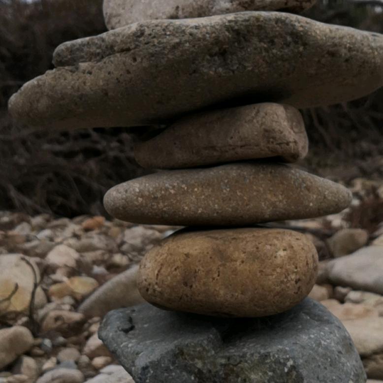 用户431708489草原