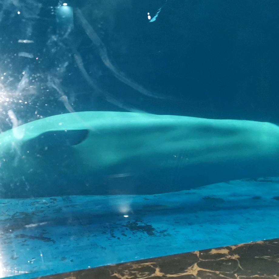 𝔂𝓲𝔂𝓲博涵