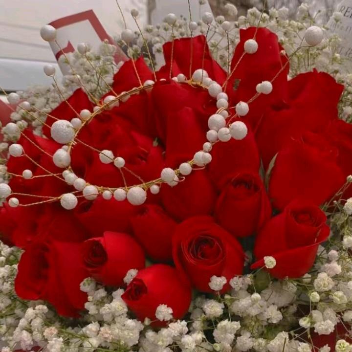 玫瑰🌹花香