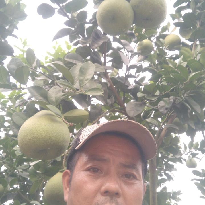 果园大大