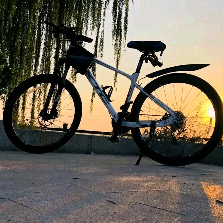 诗ウチクテ远方