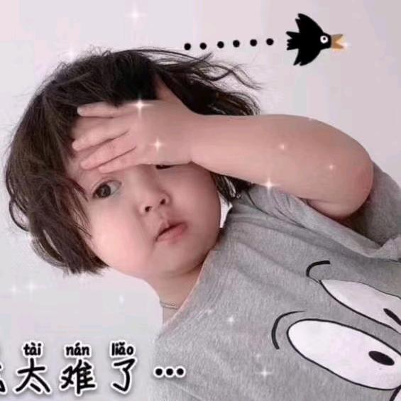 小娘鱼