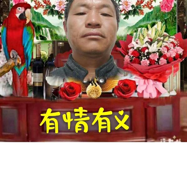友情友义