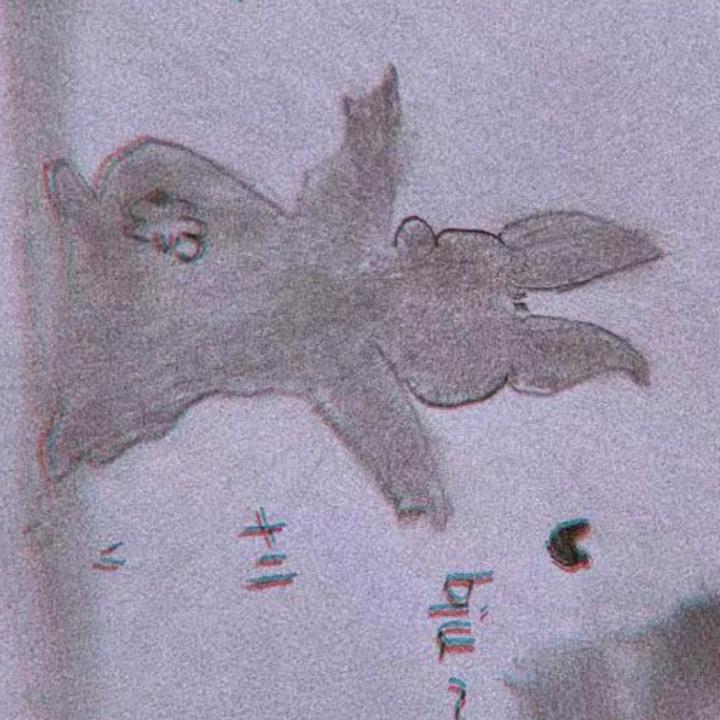 拾壹