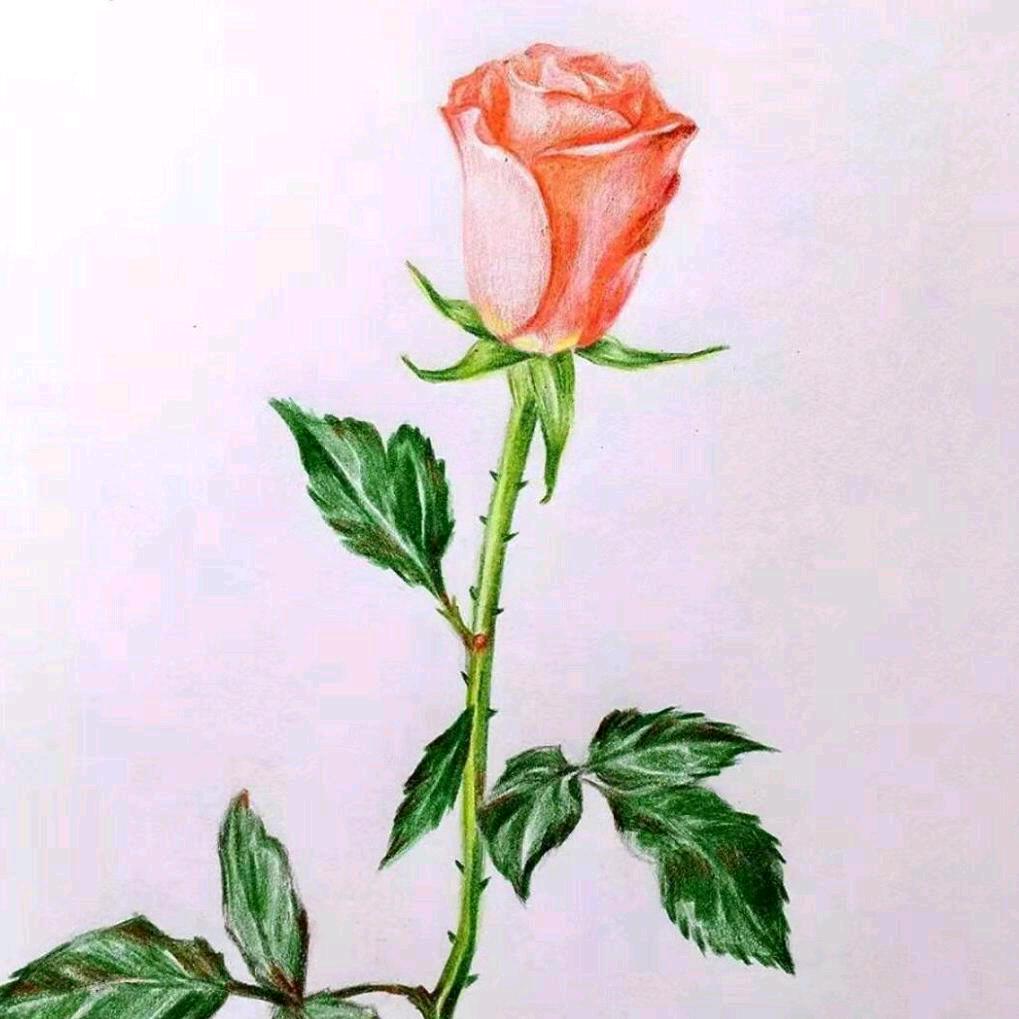 多彩的云