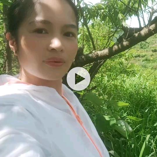 夏未凉婷，谭🌊