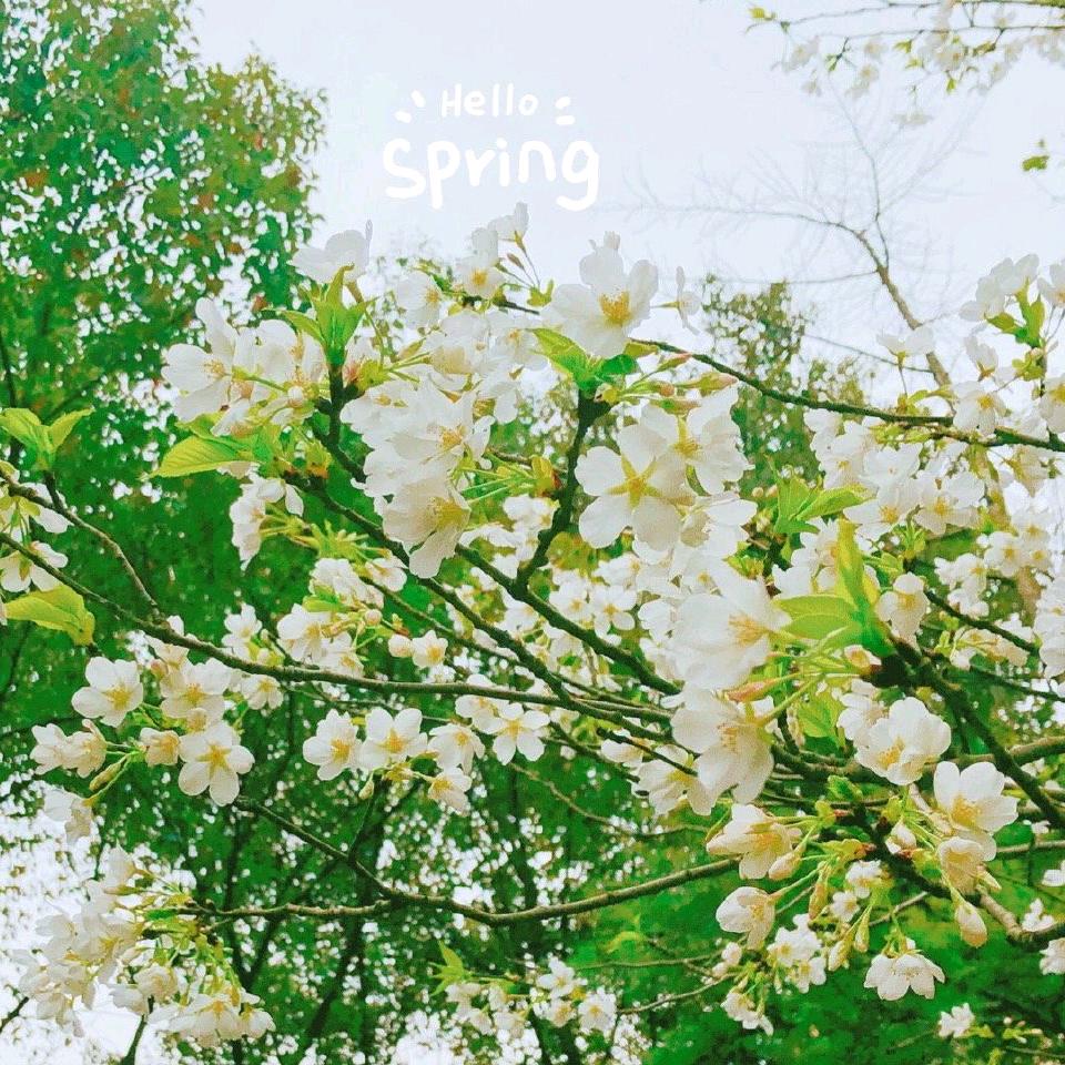 我可爱的小桃心.