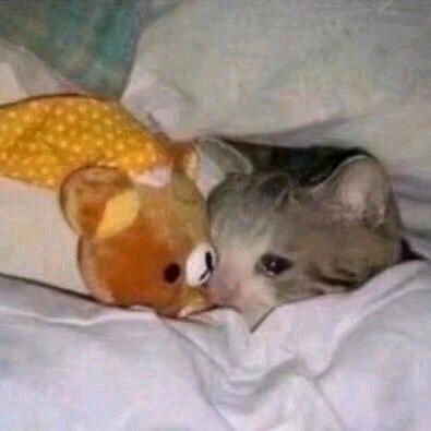 数学多爱我一点