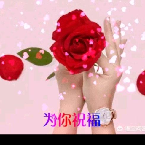 文萍🌻记录生活，