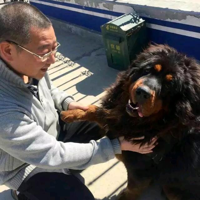 打棒球的农民老燕