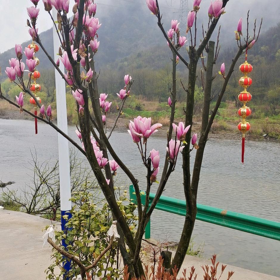 鸿运当头