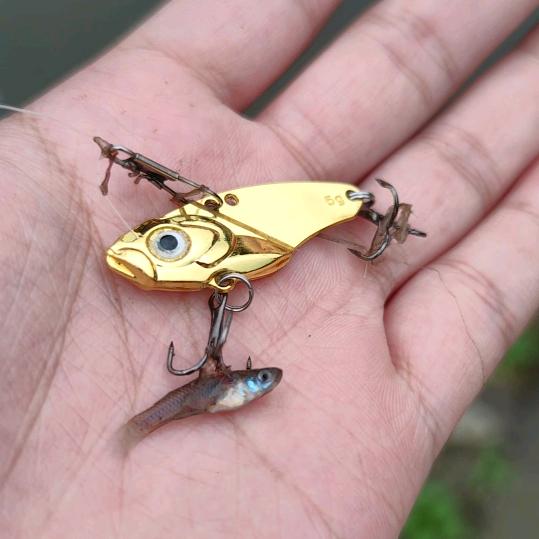 Hi~谢不柔Lure🎣