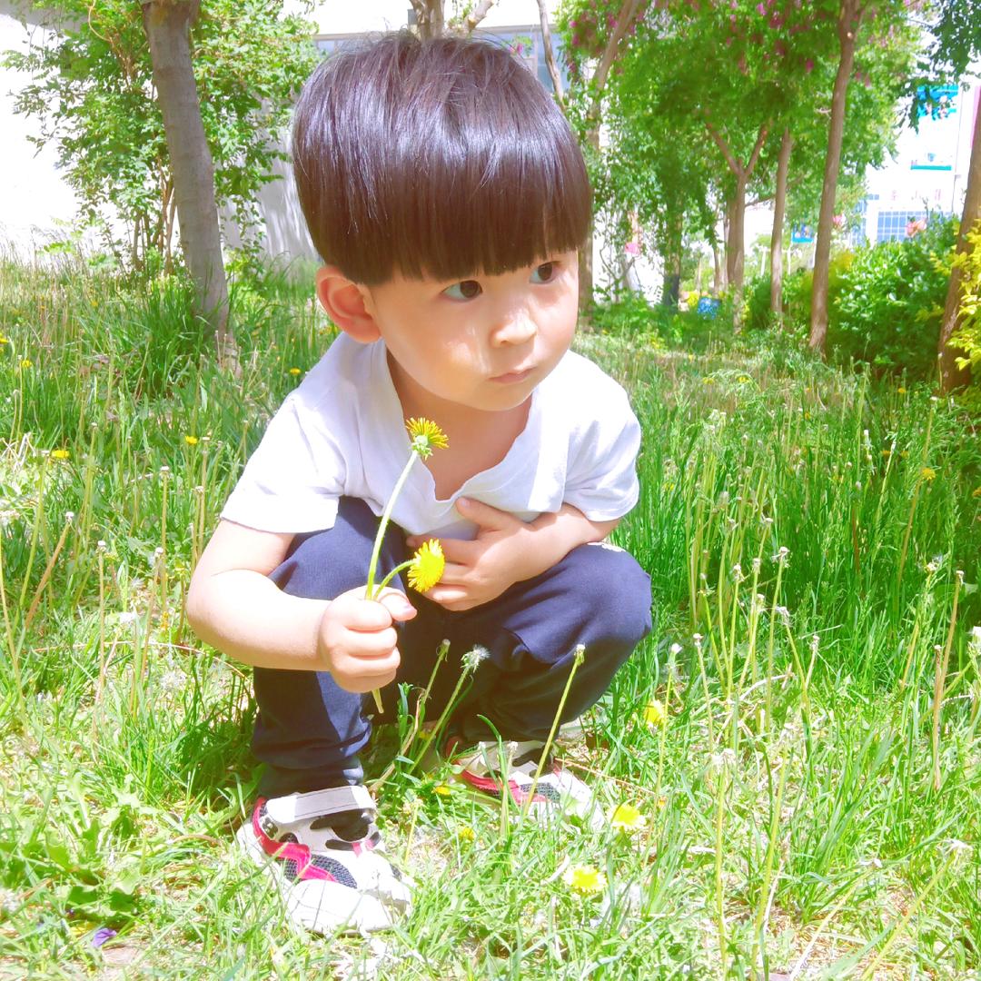 淘淘👦